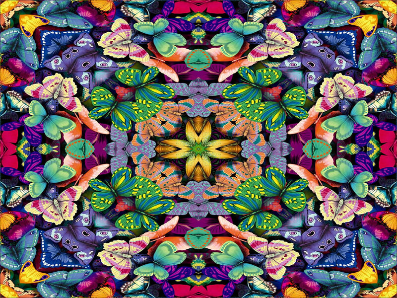 Colorful Butterfly Pattern — Green