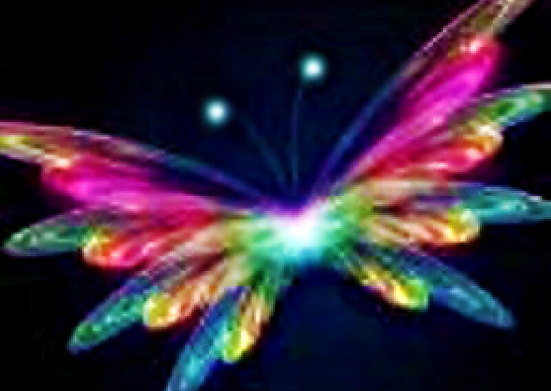Colorful Butterfly — Pink