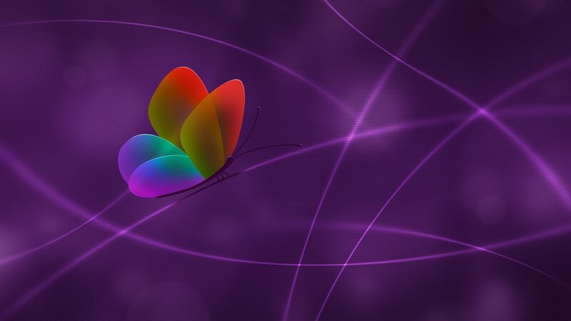 Colorful Butterfly — Purple, Calm