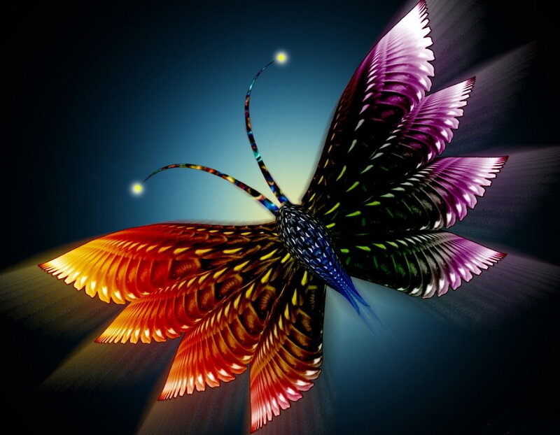 Colorful Butterfly — Purple, Dramatic