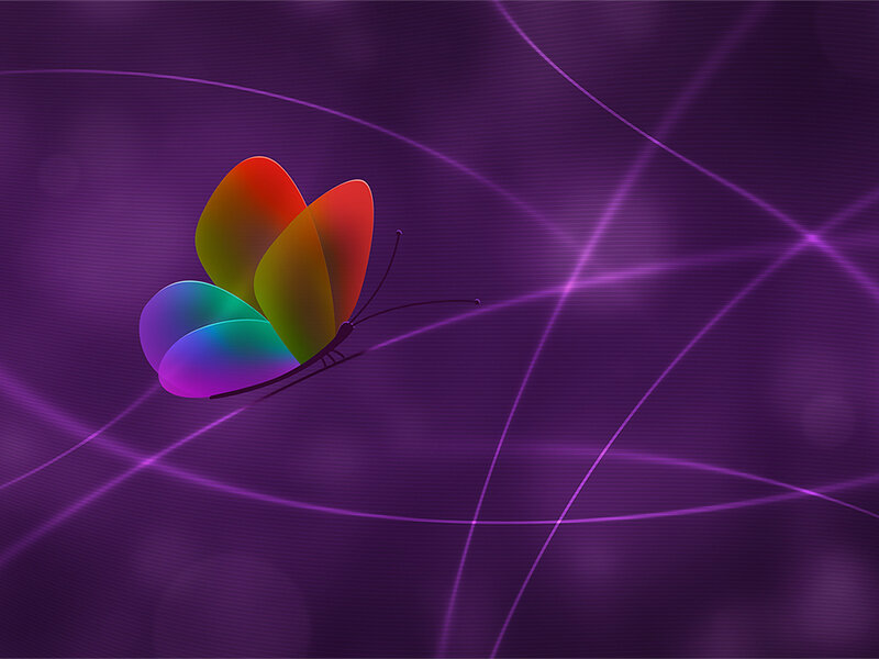 Colorful Butterfly — Purple