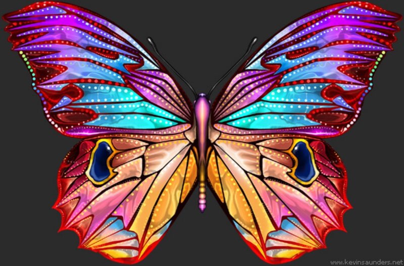 Colorful Butterfly — Purple, Vibrant