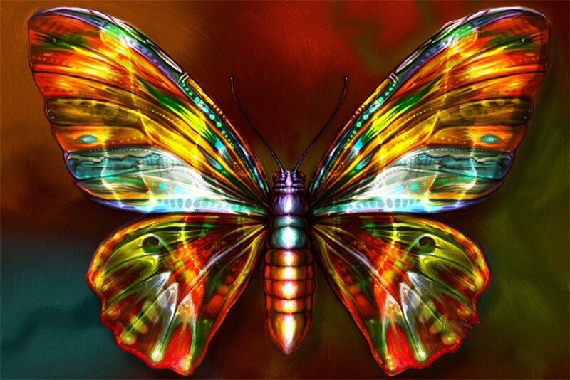 Colorful Butterfly — Red, Vibrant, Digital Art