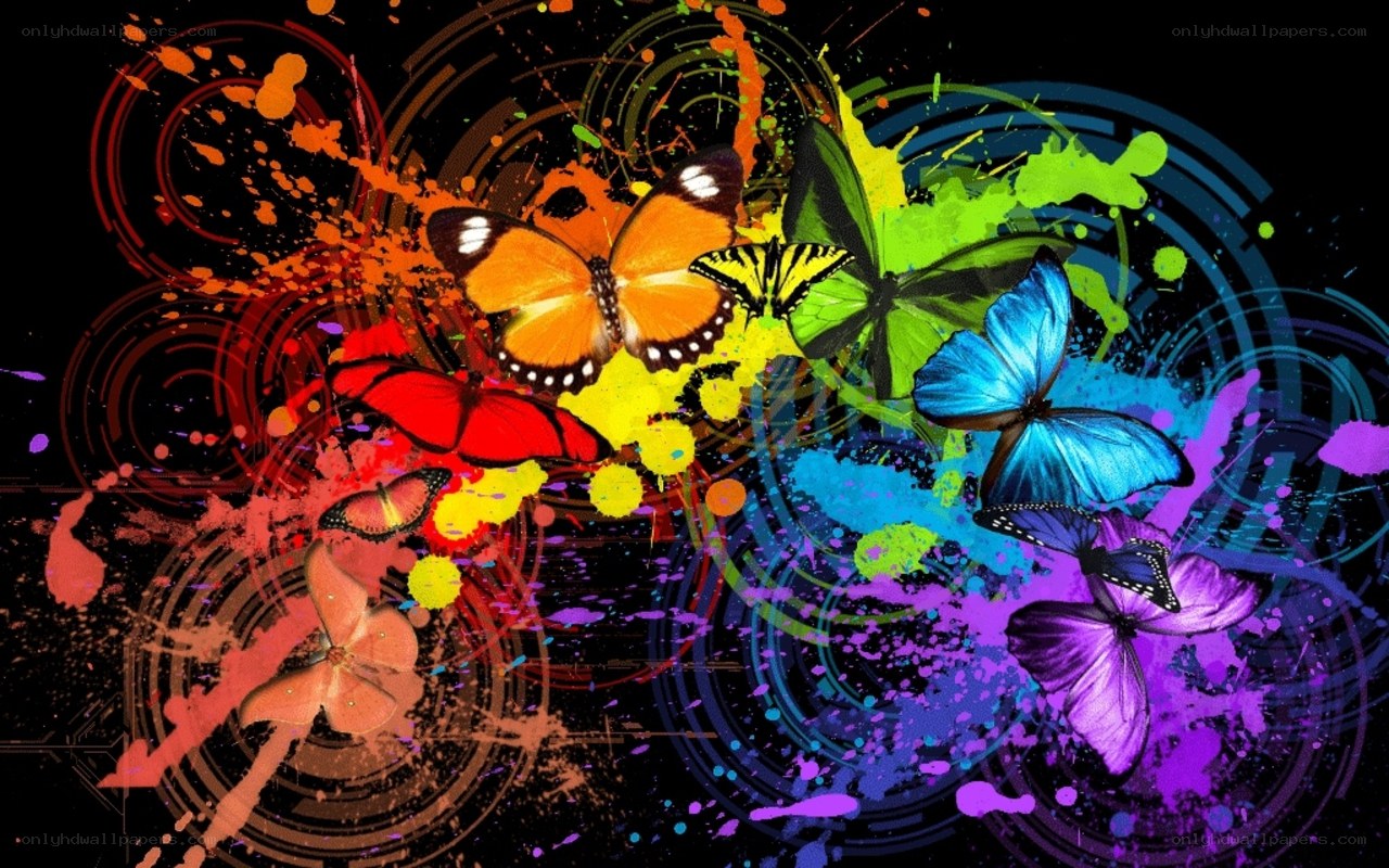 colorful butterfly splatter art