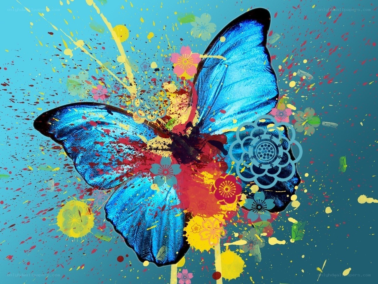 colorful butterfly splatter art
