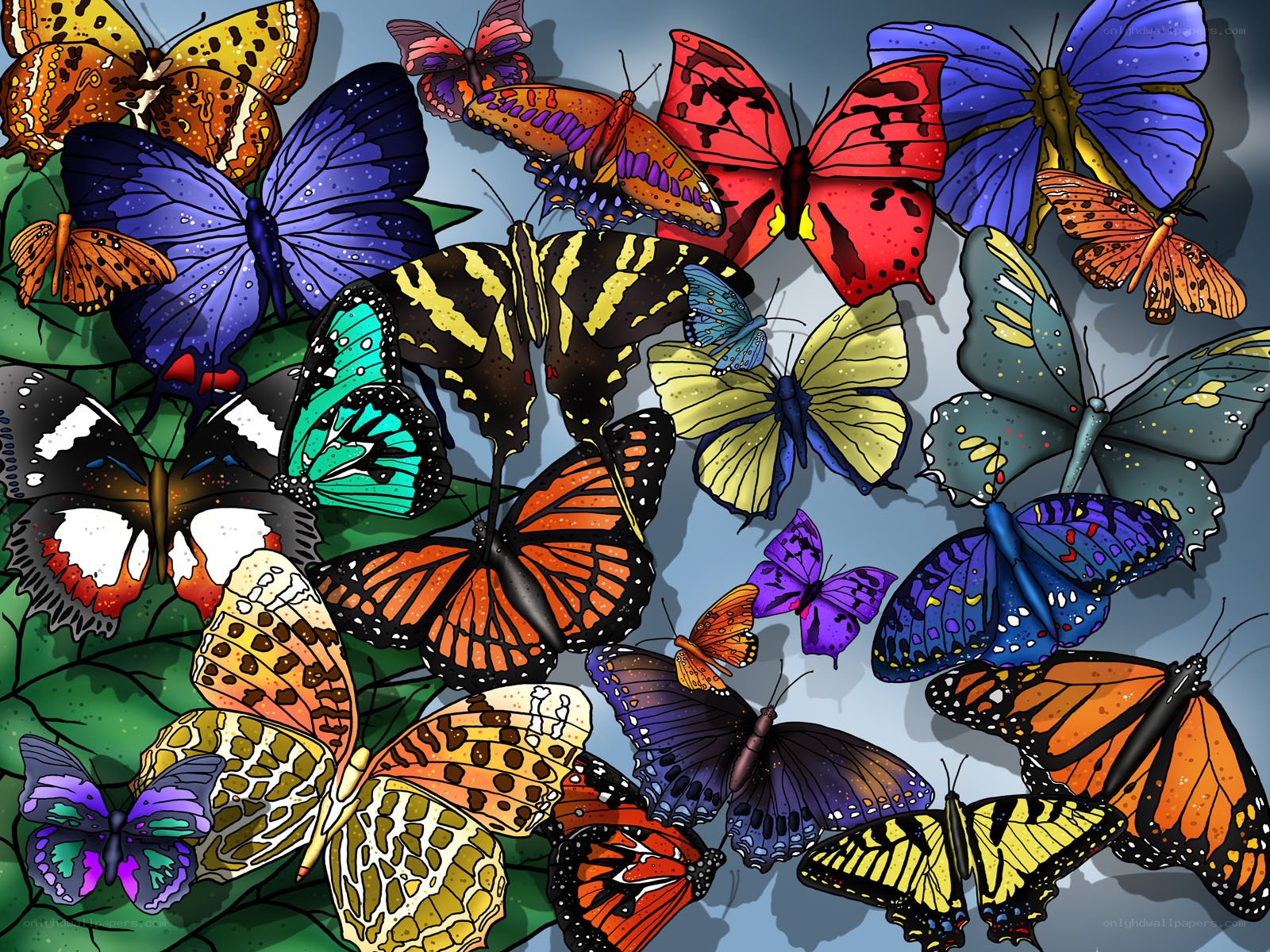 Colorful butterfly swarm