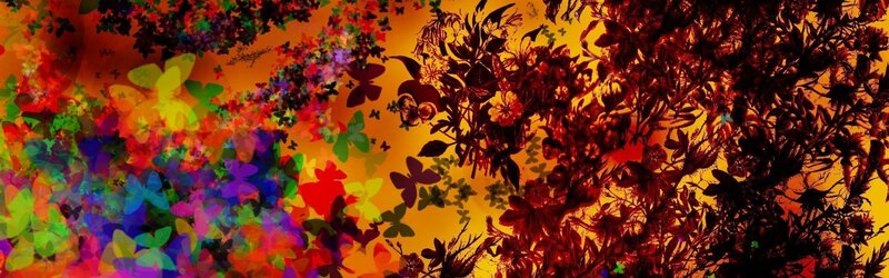 Colorful Butterfly Swarm — Orange, Vibrant