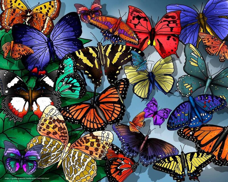 Colorful butterfly swarm