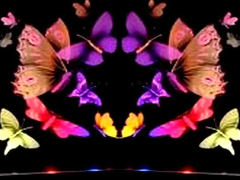 colorful butterfly symphony