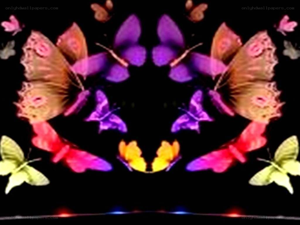 colorful butterfly symphony