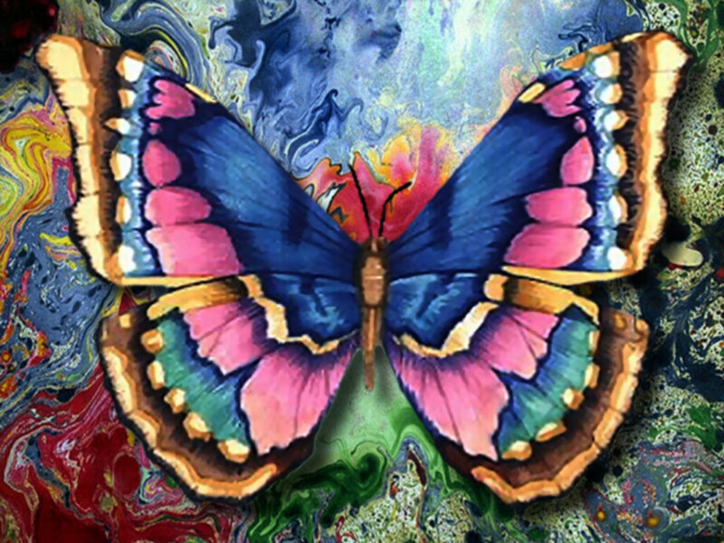 Colorful Butterfly