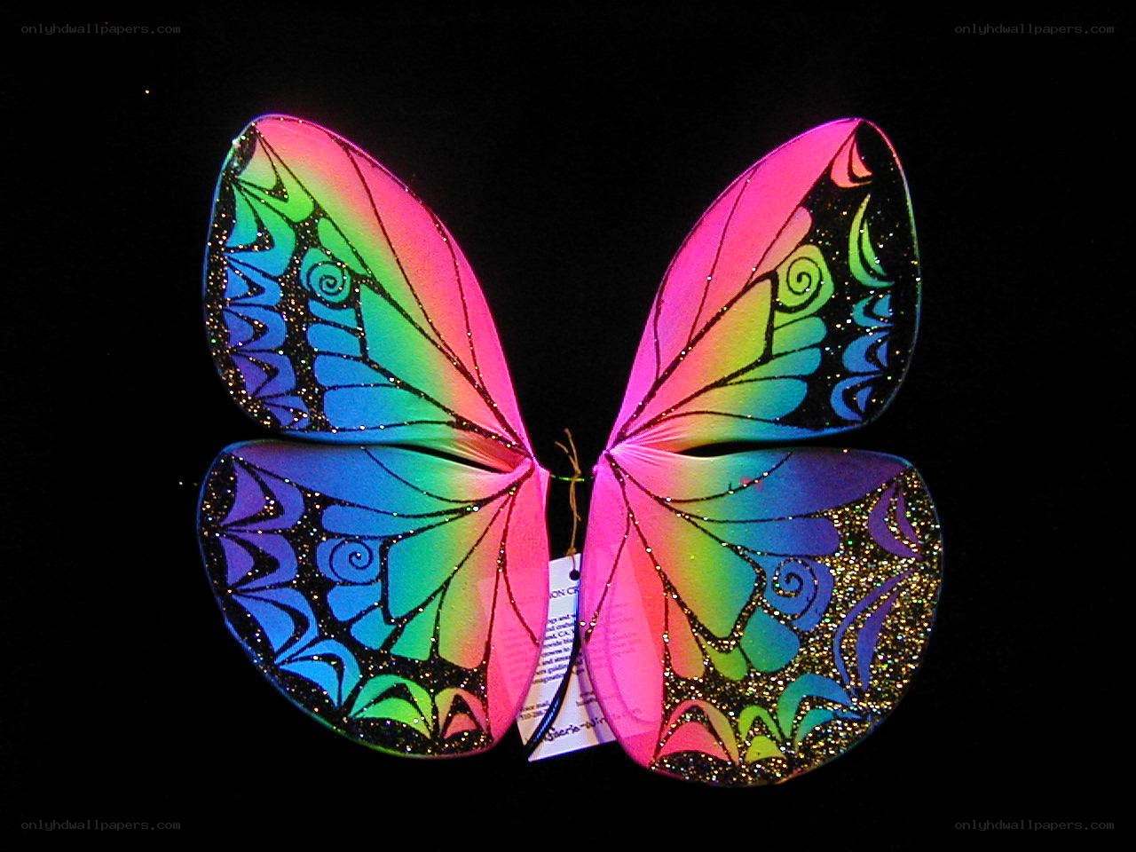 colorful butterfly wings
