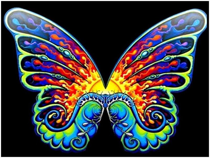 Colorful Butterfly Wings — Blue