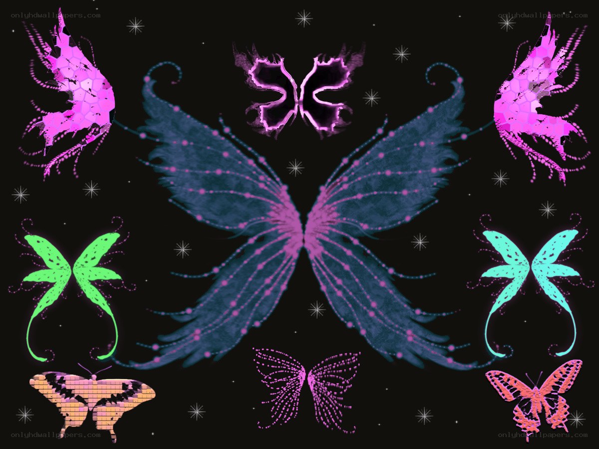 colorful butterfly wings