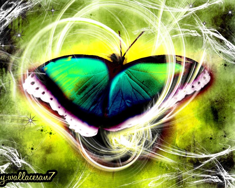 colorful butterfly with energy swirl