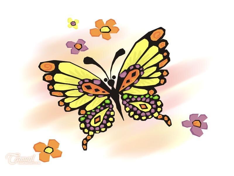colorful butterfly with flowers