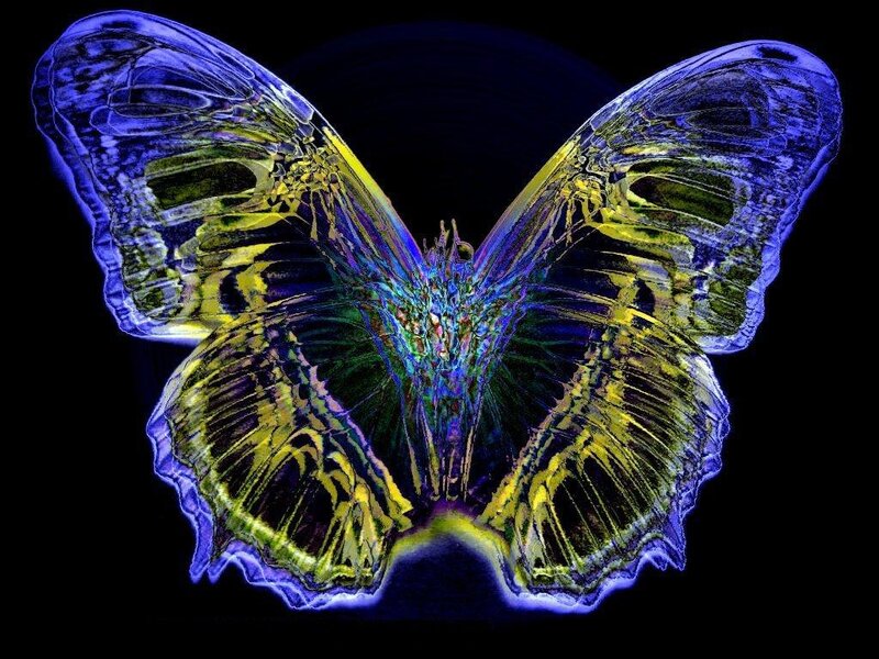 Colorful butterfly with glowing wings