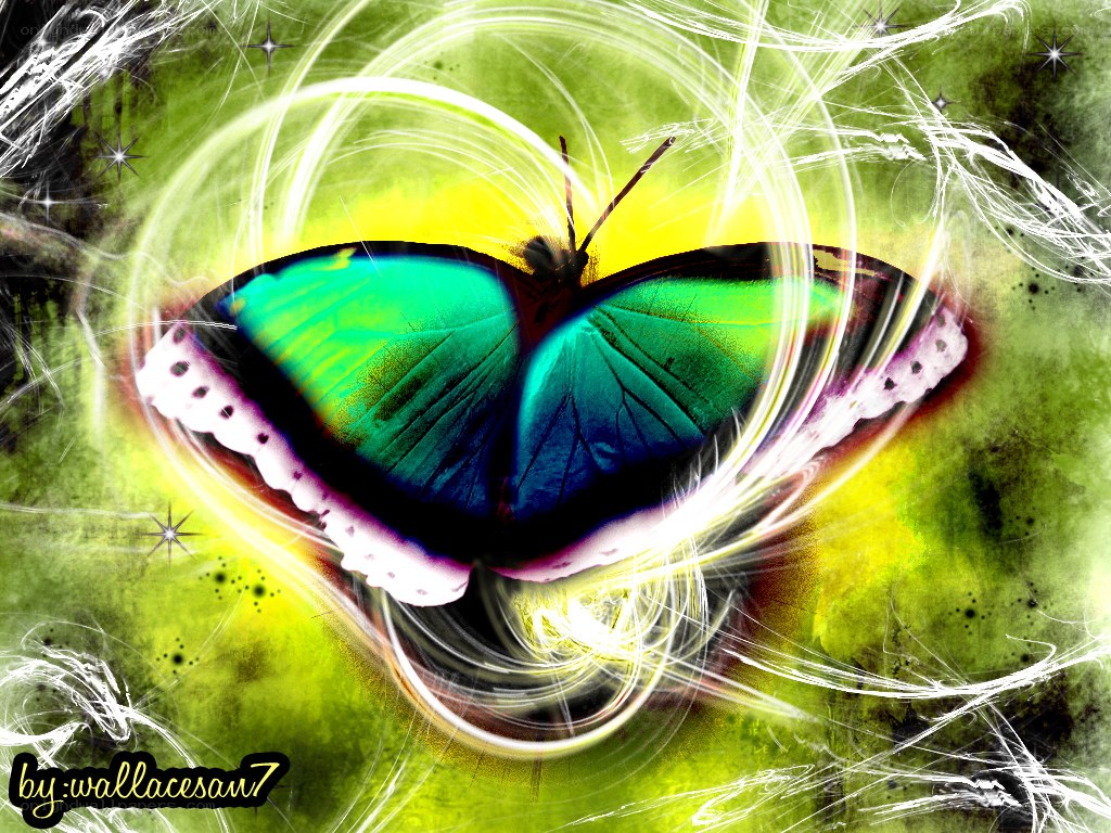 colorful butterfly with light effects