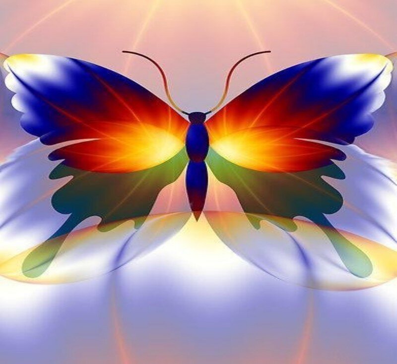 Colorful butterfly with radiant wings