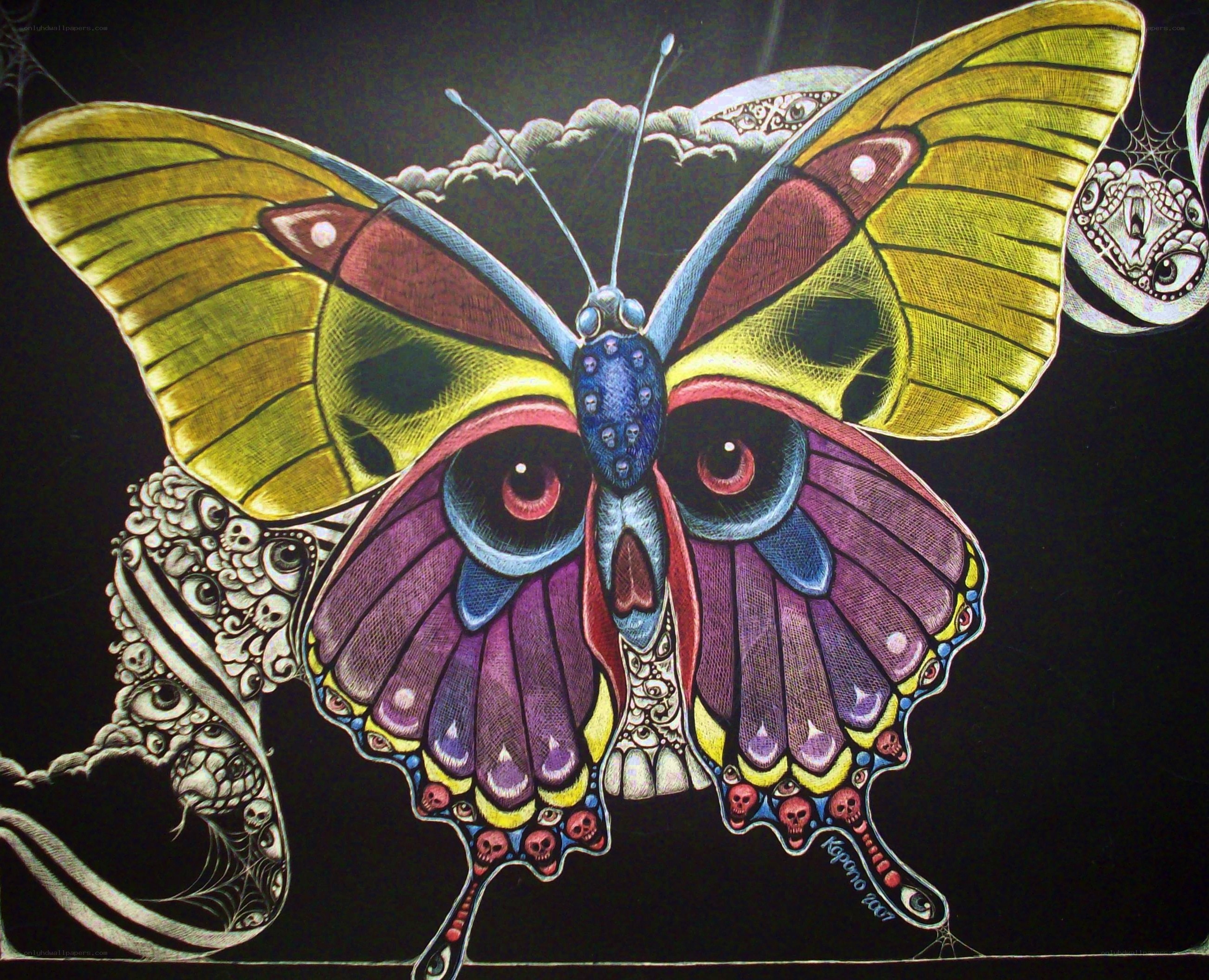 Colorful butterfly with skulls
