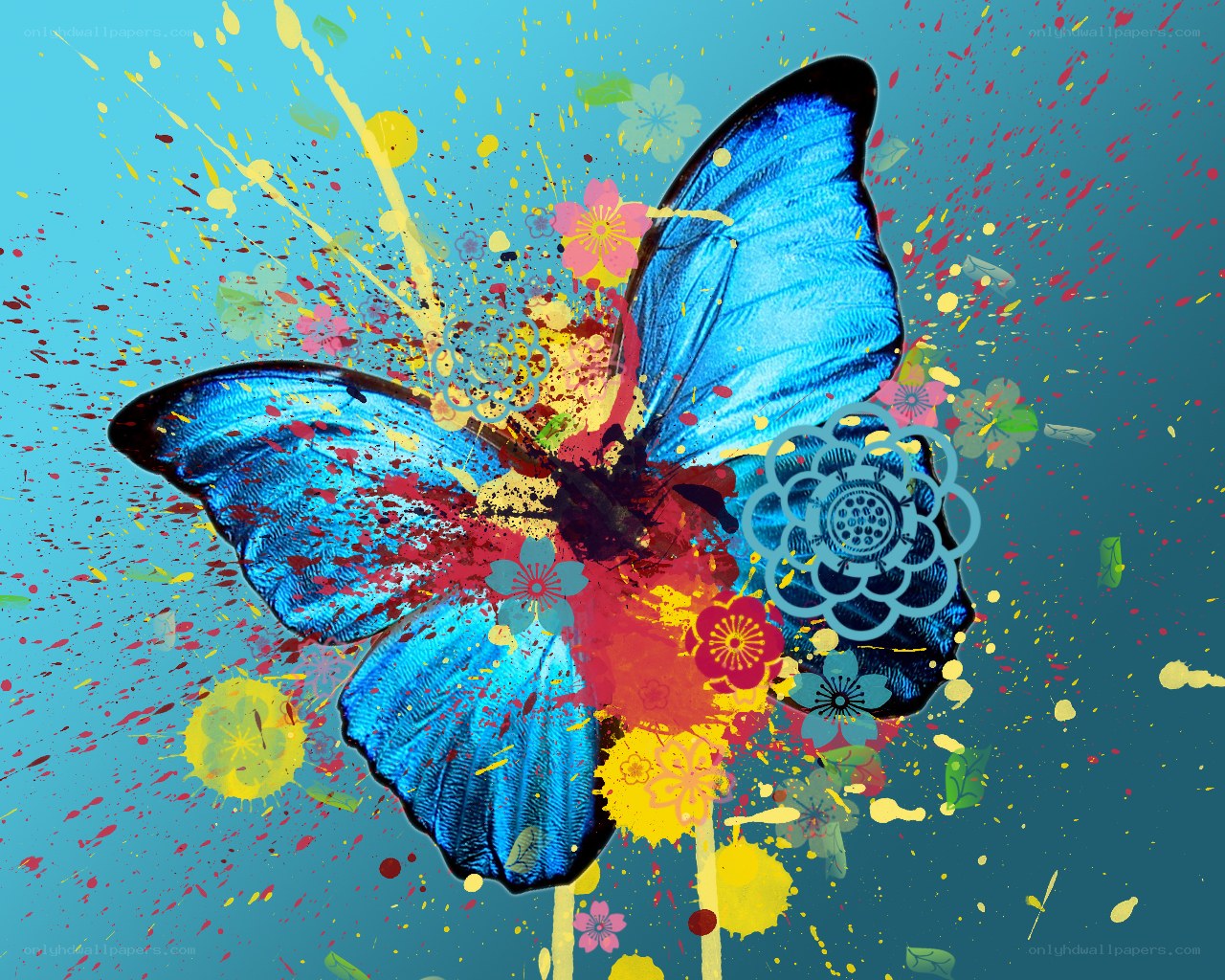 Colorful butterfly with splatter art