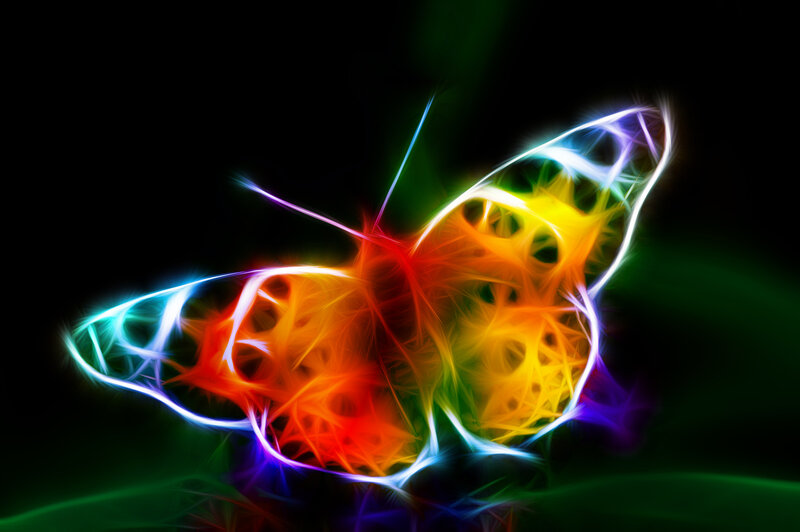 Colorful Butterfly — Yellow