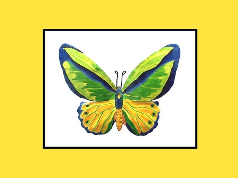 Colorful Butterfly — Yellow, Vibrant