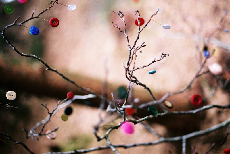 Colorful buttons on branches