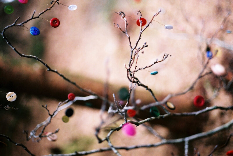 Colorful buttons on tree branches