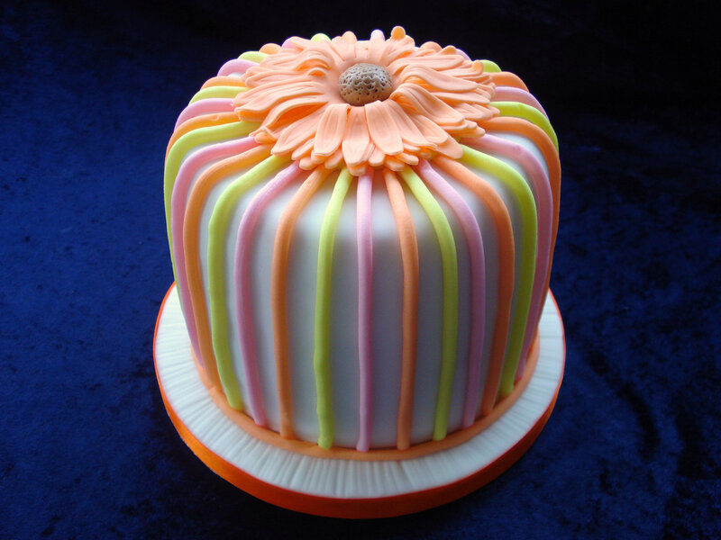 Colorful Cake with Flower