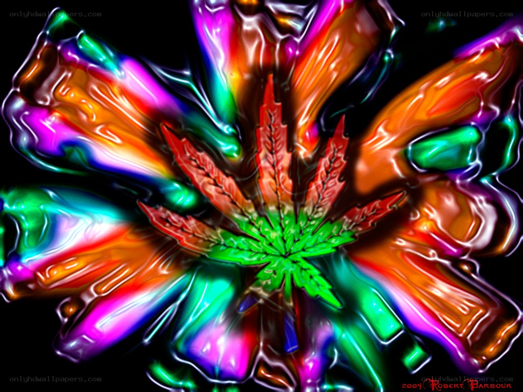 Colorful cannabis leaf art