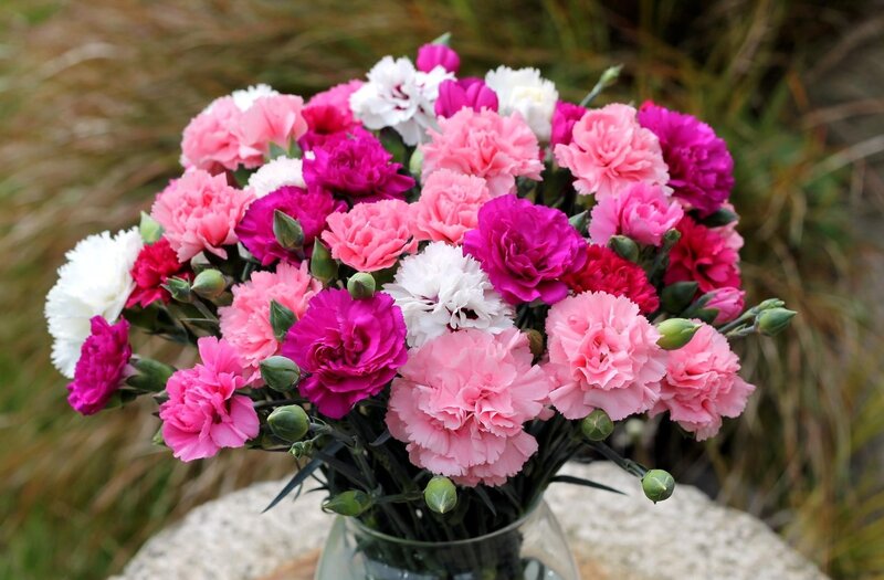 Colorful carnation bouquet
