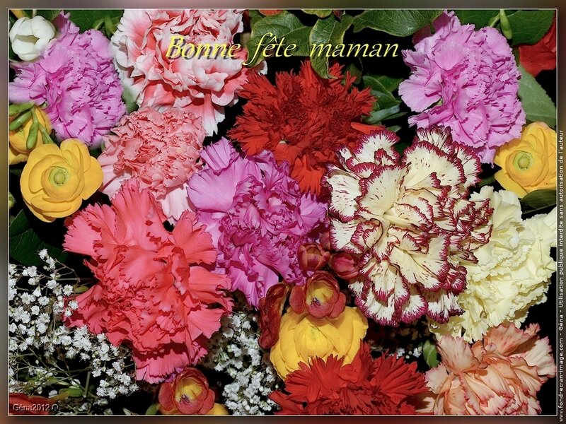 Colorful Carnation Bouquet — Pink