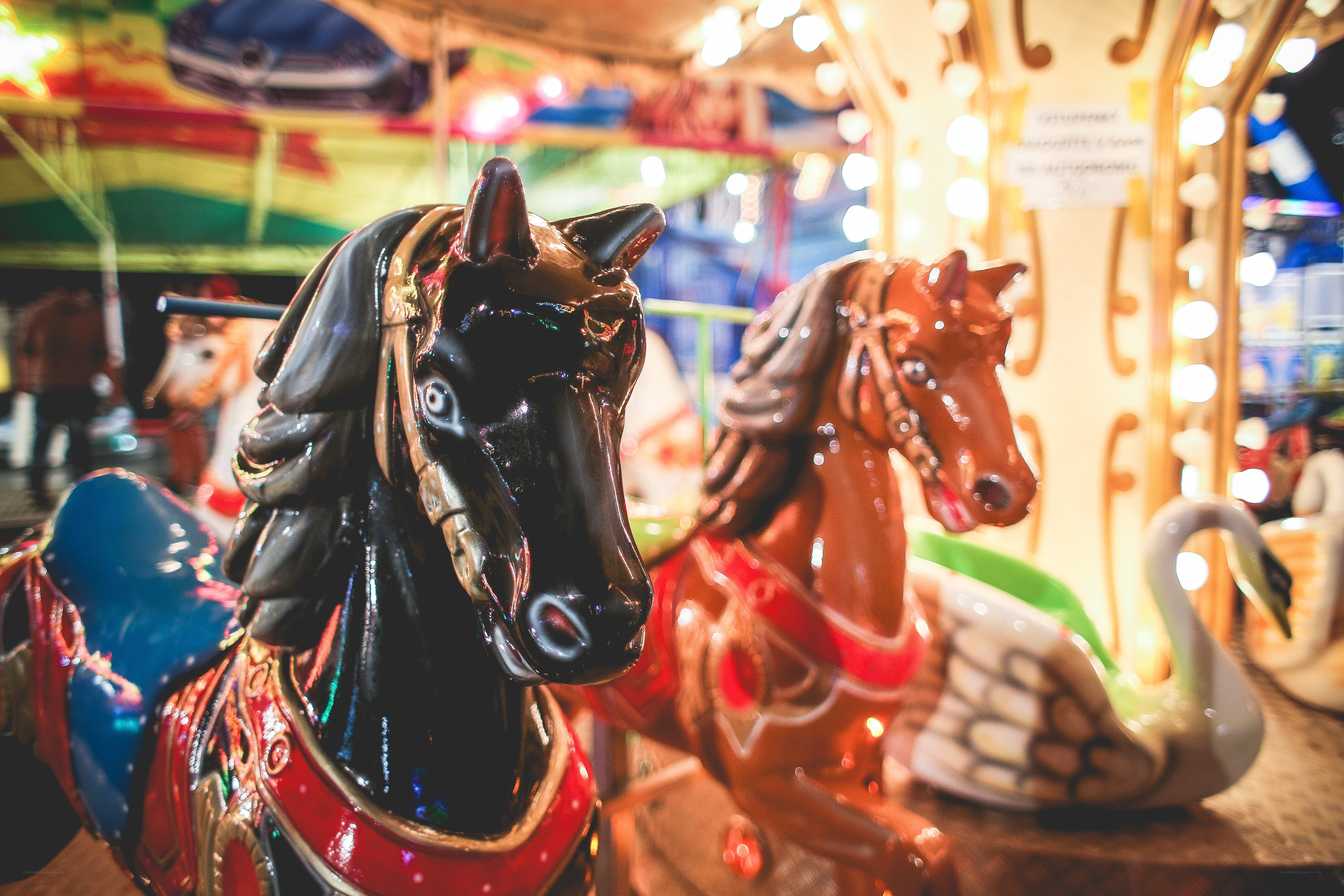 Colorful carousel horses at night