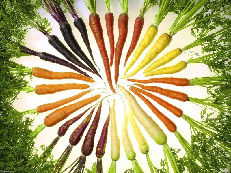 Colorful carrot arrangement