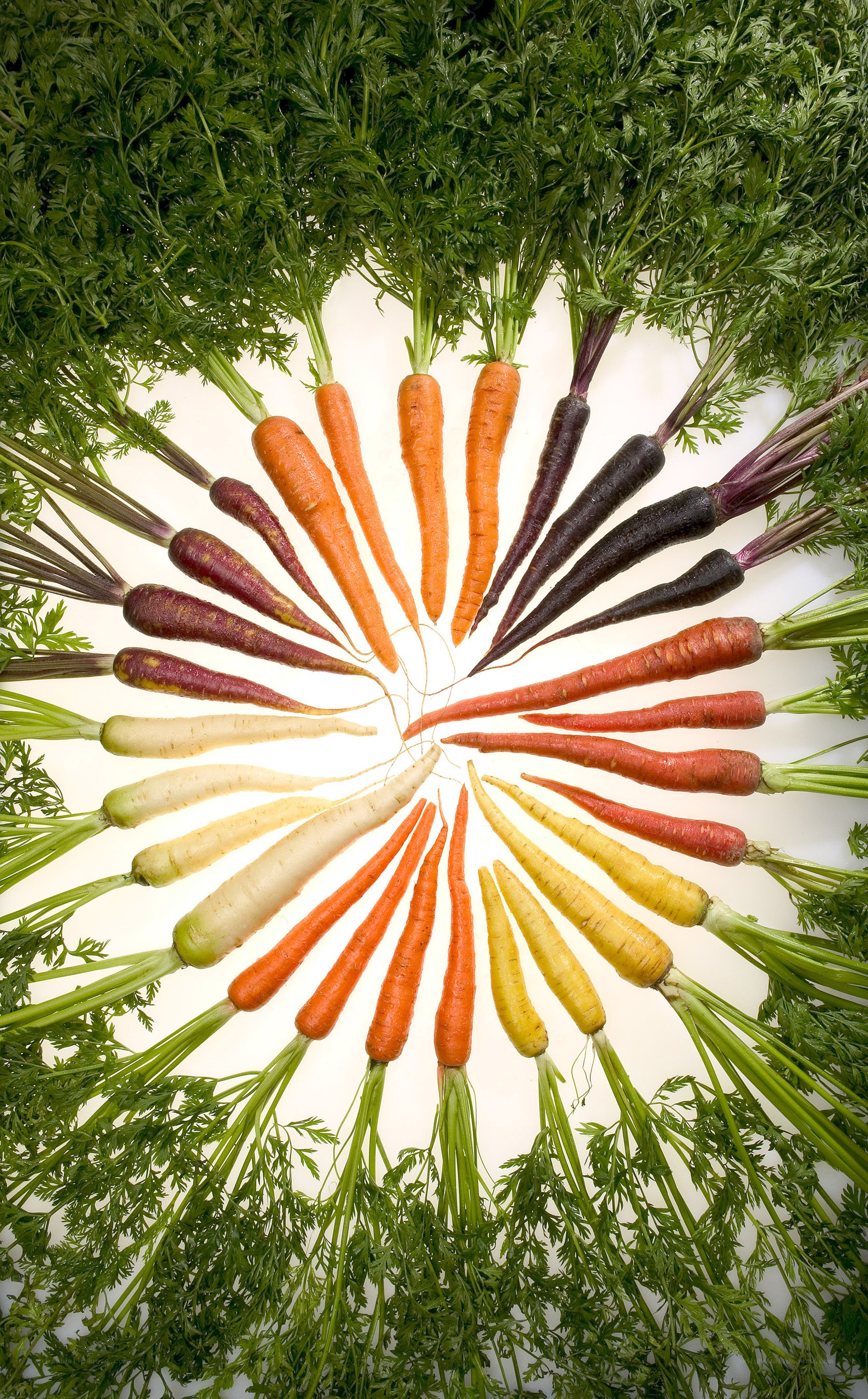 Colorful carrot arrangement