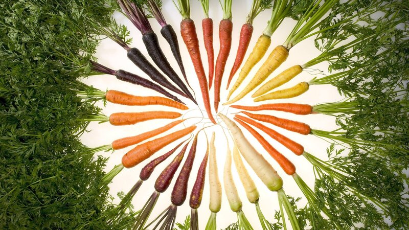 Colorful Carrots Arranged in Circle — Green