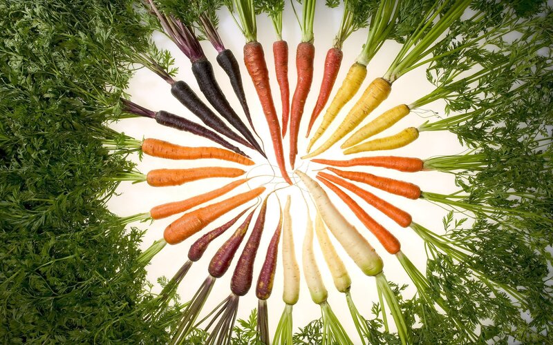 Colorful Carrots Arranged in Circle