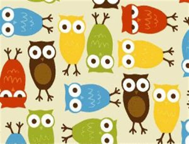 Colorful Cartoon Owls