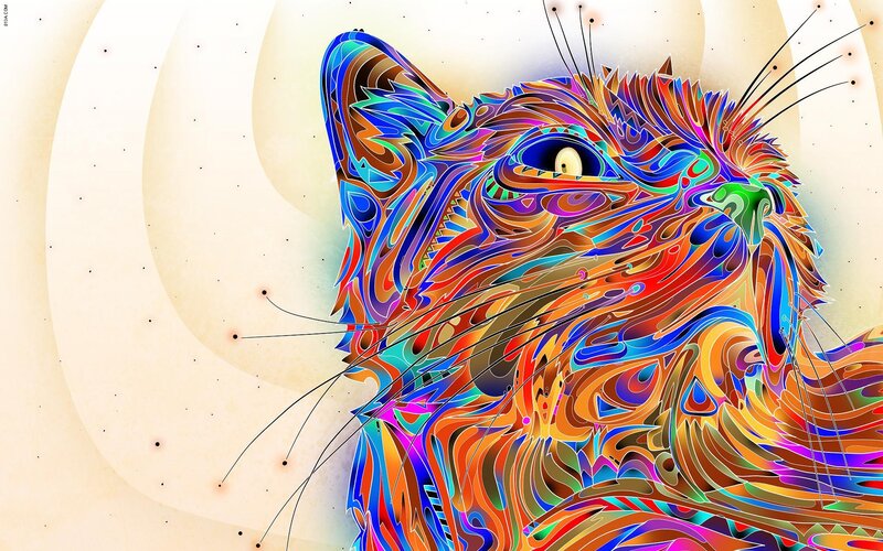 colorful cat abstract art