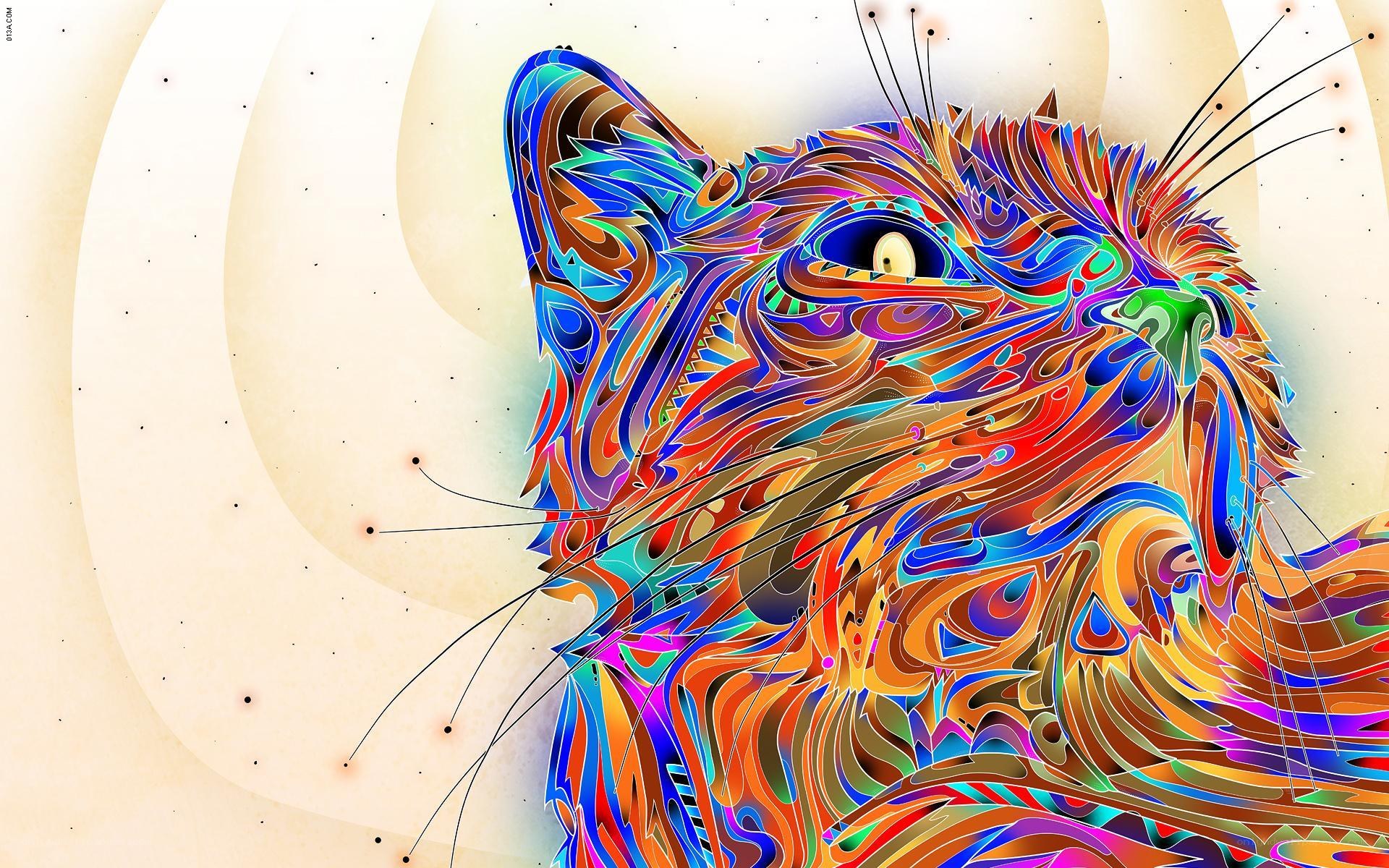 colorful cat abstract art