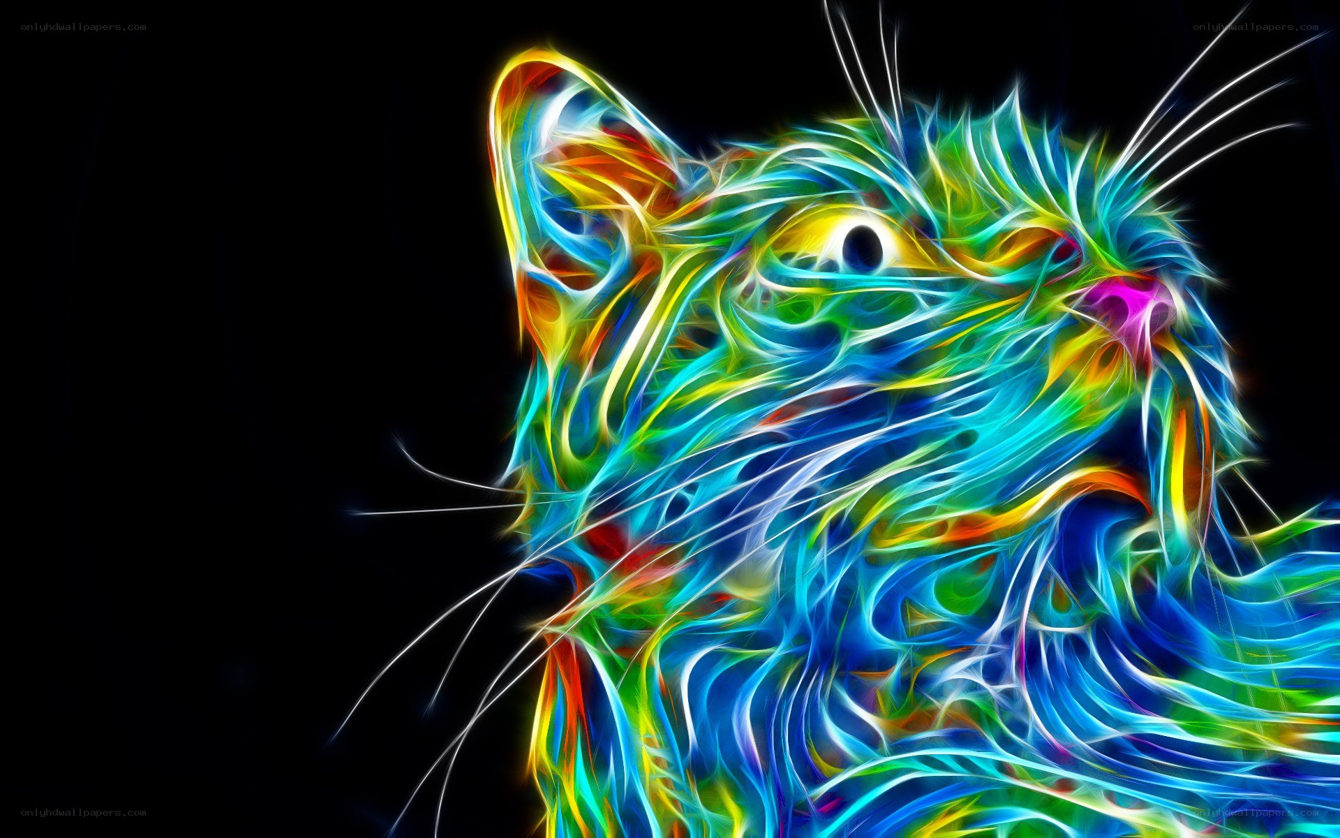 colorful cat digital art