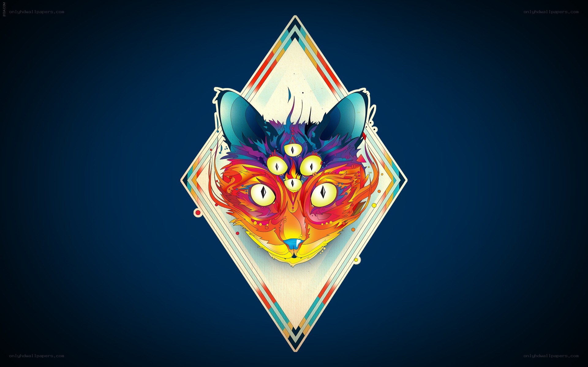 colorful cat head art