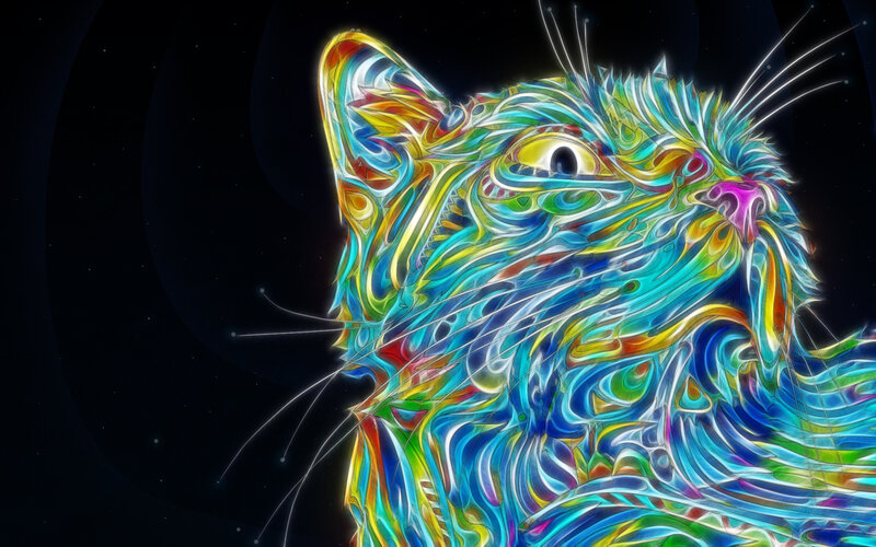 Colorful Cat Head — Blue, Vibrant