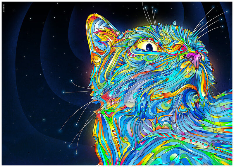 Colorful Cat Head
