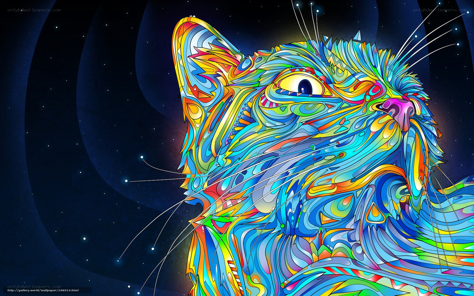 Colorful cat in space