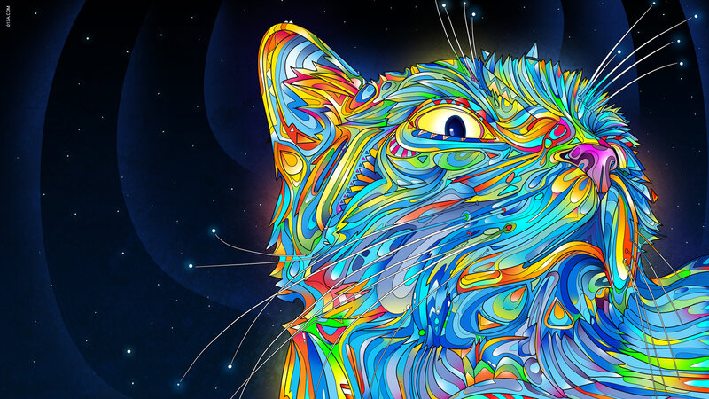 colorful cat in space