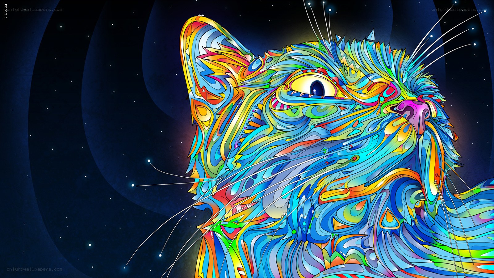 colorful cat in space