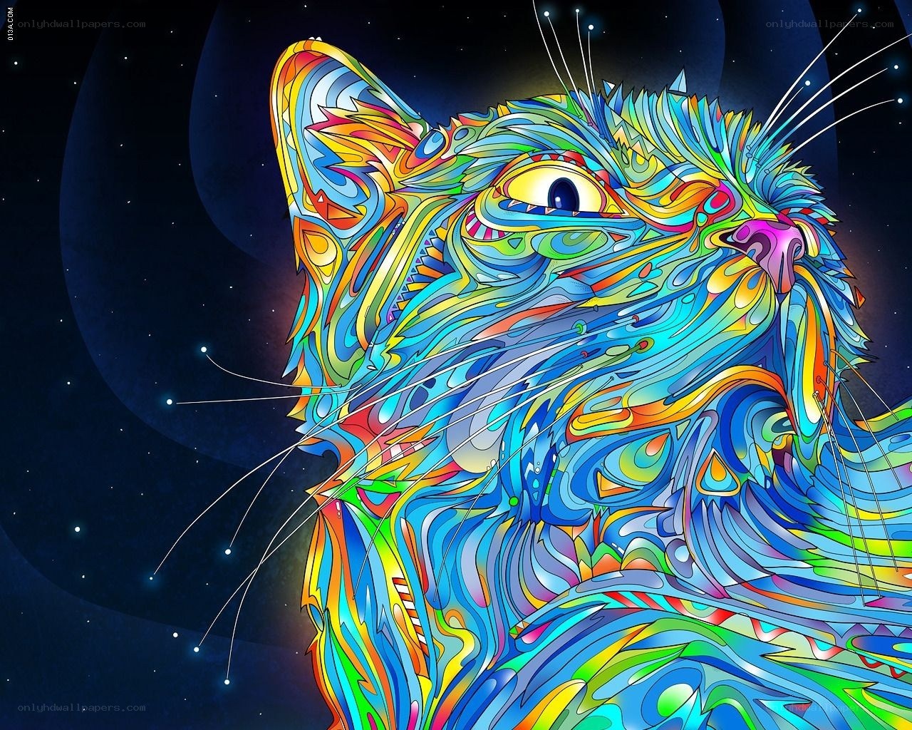 colorful cat in space