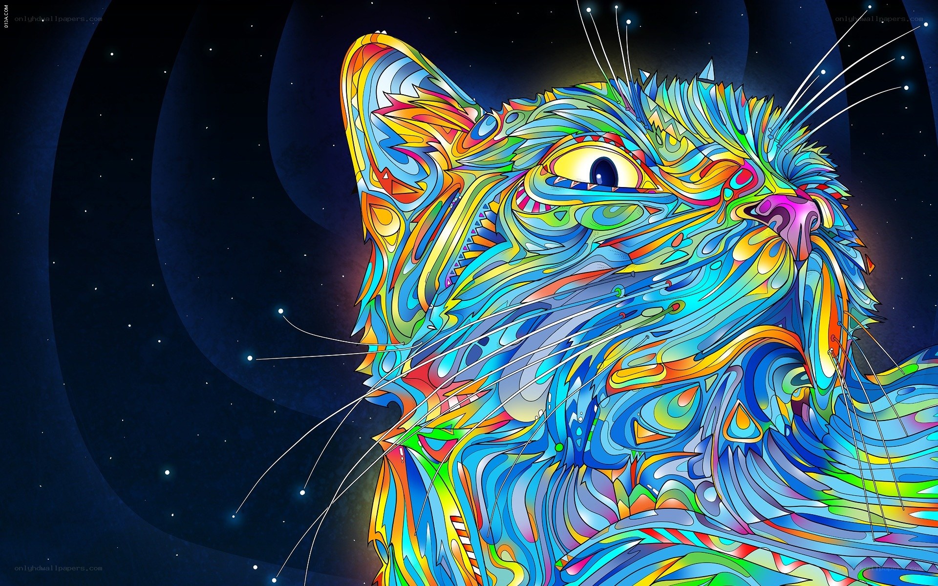 colorful cat in space